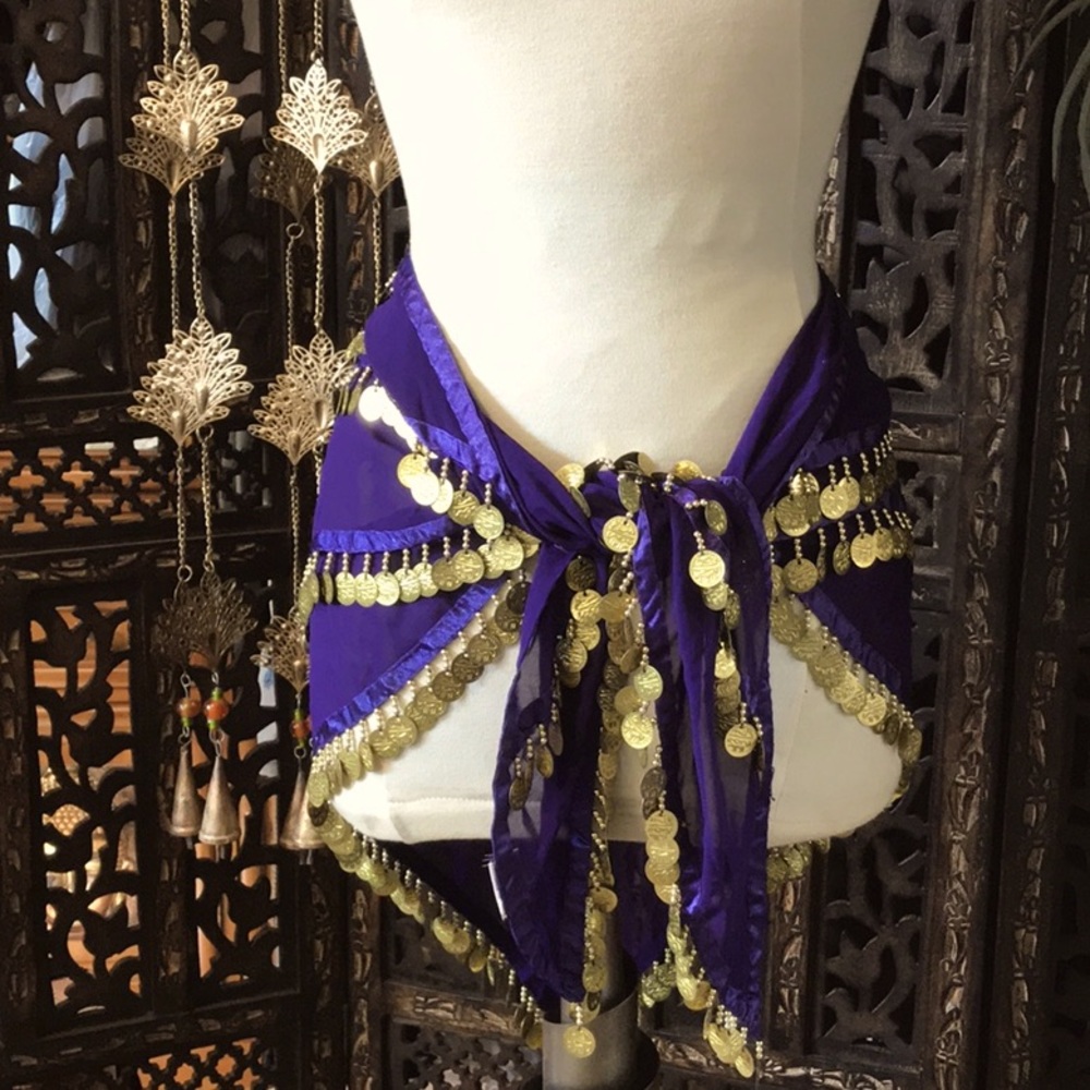 COPY - Belly dancing belt/skirt